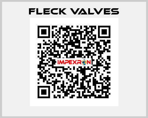 Fleck Valves