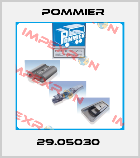 29.05030  Pommier