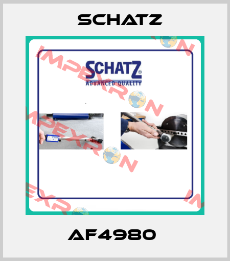 AF4980  Schatz