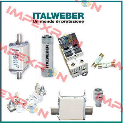 0107001  Italweber