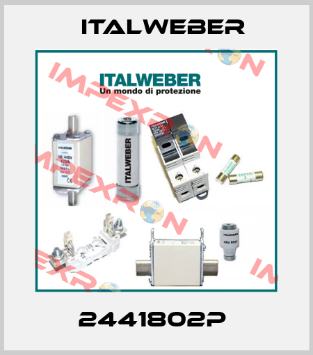 2441802P  Italweber