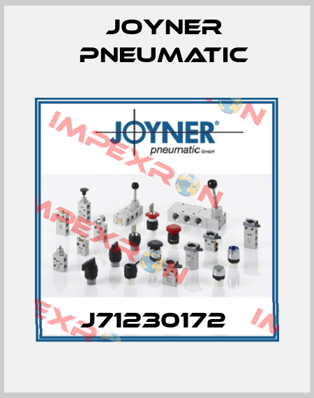 J71230172  Joyner Pneumatic