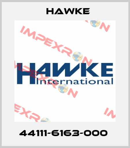 44111-6163-000  Hawke