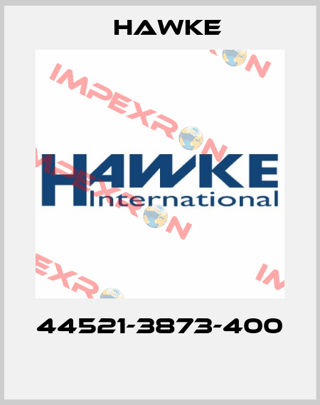 44521-3873-400  Hawke