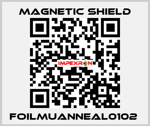 FOILMUANNEAL0102  Magnetic Shield