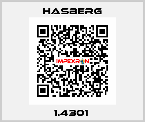1.4301  Hasberg