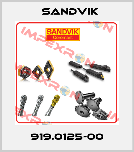 919.0125-00 Sandvik