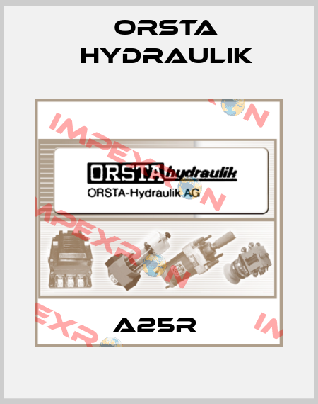A25R  Orsta Hydraulik