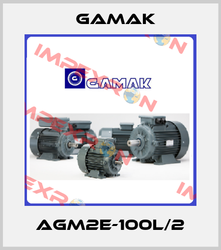 AGM2E-100L/2  Gamak