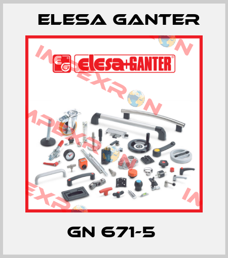 GN 671-5  Elesa Ganter