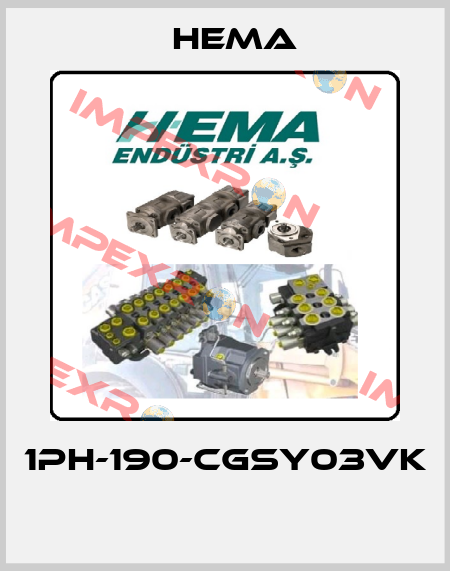 1PH-190-CGSY03VK  Hema