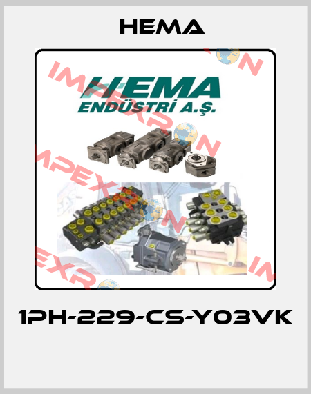 1PH-229-CS-Y03VK  Hema