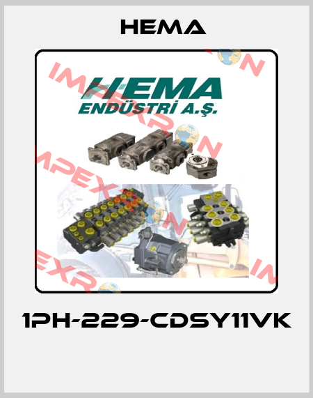 1PH-229-CDSY11VK  Hema