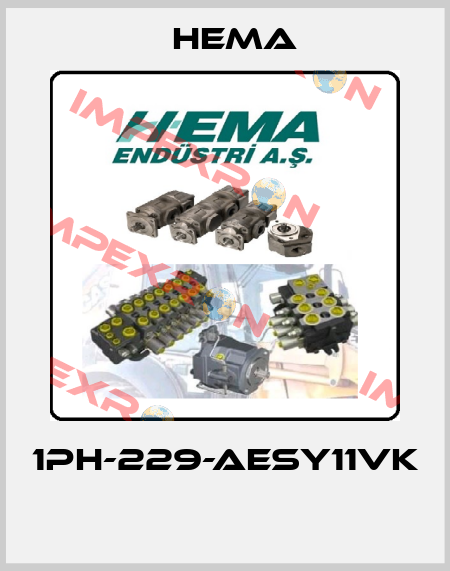 1PH-229-AESY11VK  Hema