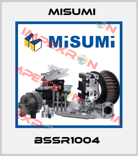BSSR1004  Misumi