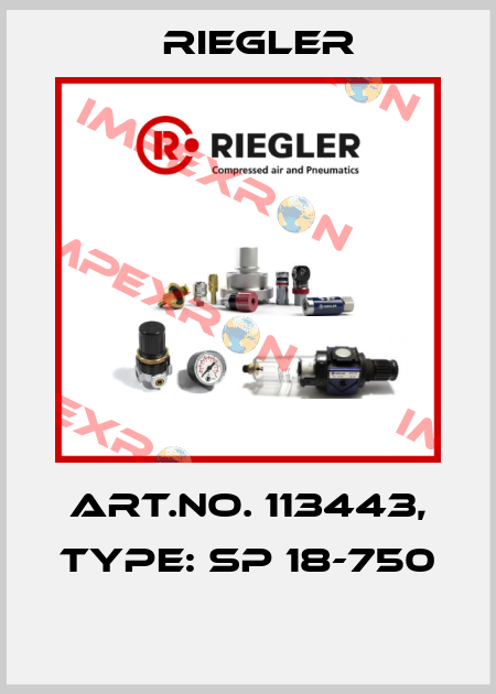 Art.No. 113443, Type: SP 18-750  Riegler