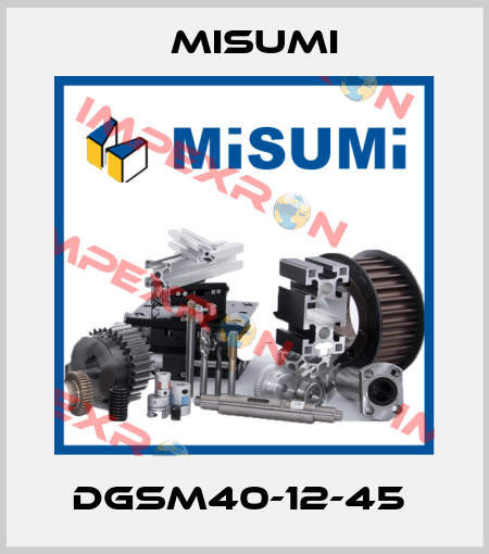 DGSM40-12-45  Misumi