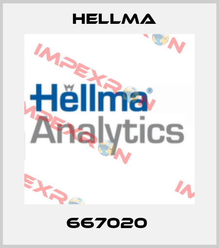 667020  Hellma