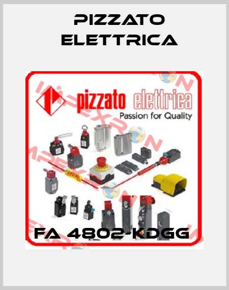 FA 4802-KDGG  Pizzato Elettrica