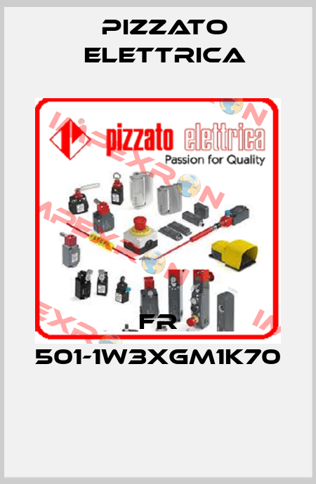 FR 501-1W3XGM1K70  Pizzato Elettrica
