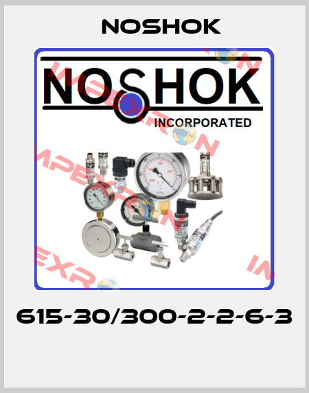615-30/300-2-2-6-3  Noshok
