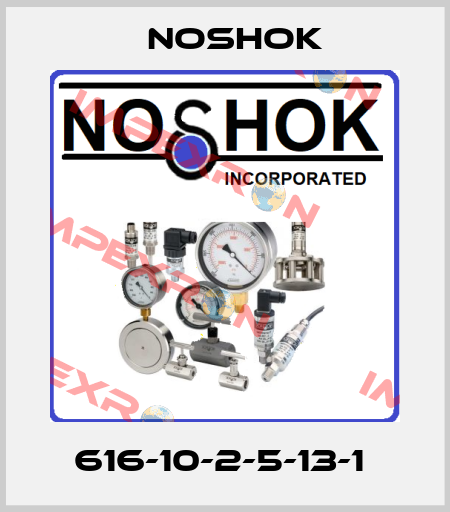 616-10-2-5-13-1  Noshok
