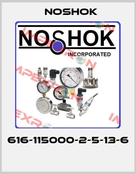 616-115000-2-5-13-6  Noshok