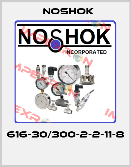 616-30/300-2-2-11-8  Noshok