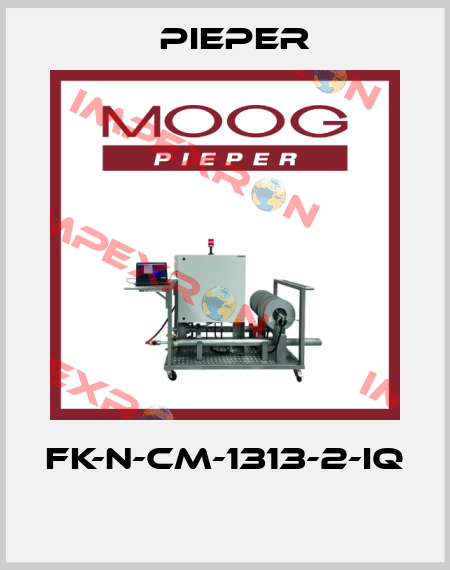 FK-N-CM-1313-2-IQ  Pieper