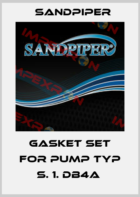 GASKET SET FOR PUMP TYP S. 1. DB4A  Sandpiper