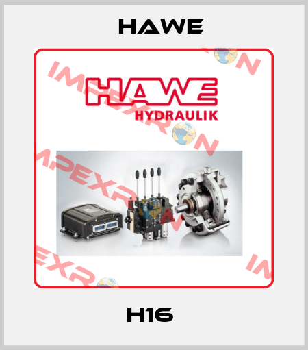 H16  Hawe