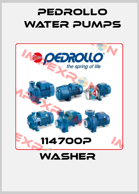 114700P   WASHER  Pedrollo Water Pumps