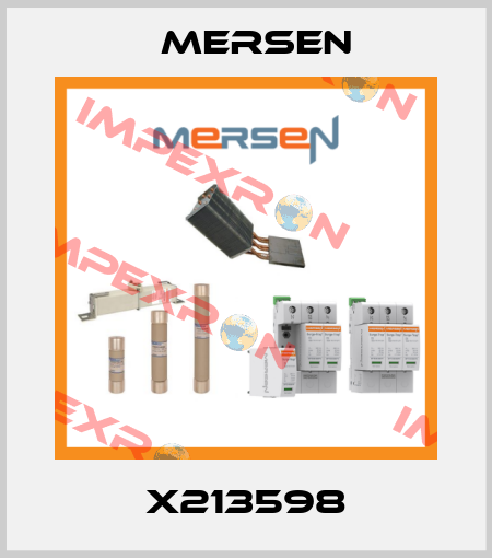 X213598 Mersen