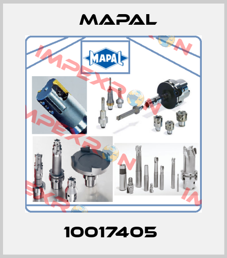 10017405  Mapal