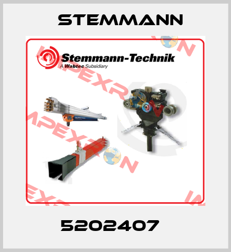 5202407   Stemmann