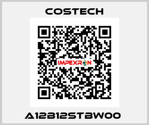 A12B12STBW00  Costech
