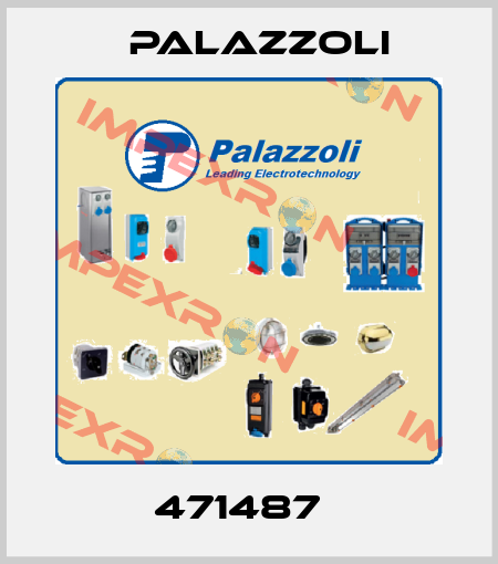 471487   Palazzoli