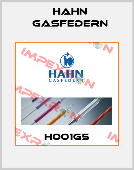 H001G5 Hahn Gasfedern