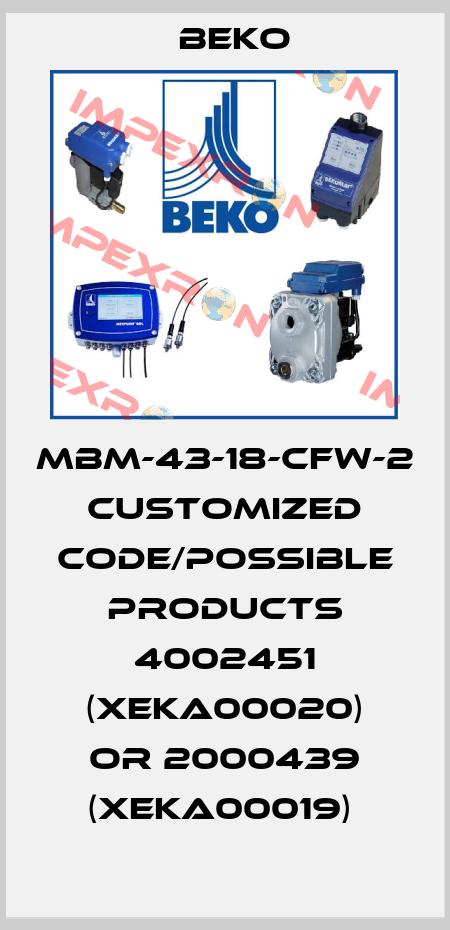 MBM-43-18-CFW-2 customized code/possible products 4002451 (XEKA00020) or 2000439 (XEKA00019)  Beko