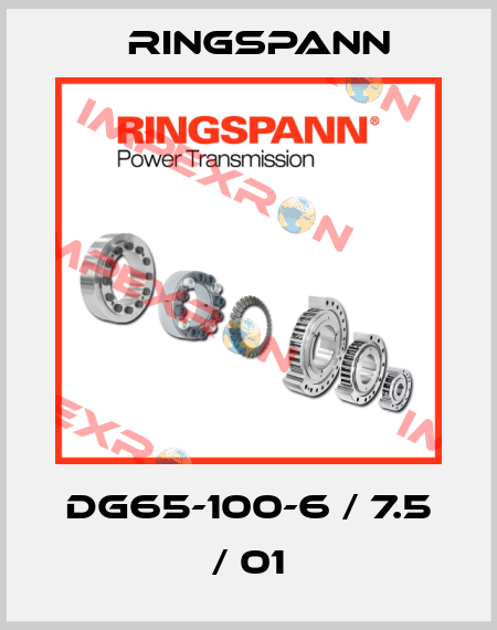 DG65-100-6 / 7.5 / 01 Ringspann