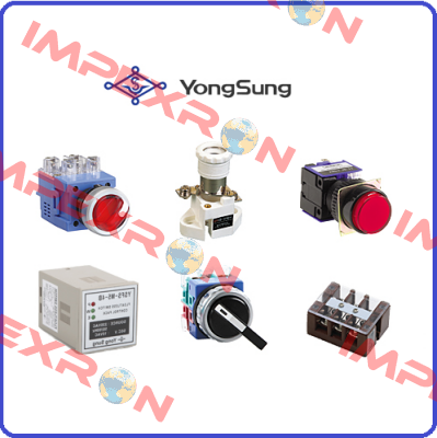 YSAP13-11R YongSung Electric