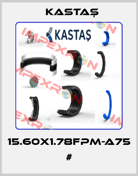 15.60X1.78FPM-A75 # Kastaş