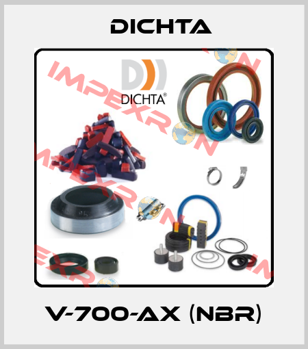 V-700-AX (NBR) Dichta