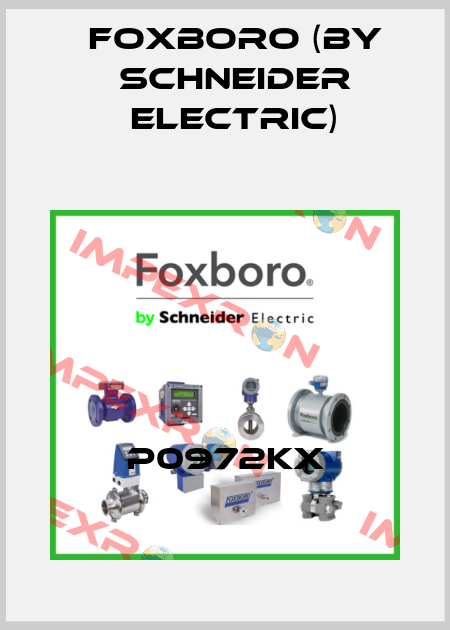 P0972KX Foxboro (by Schneider Electric)