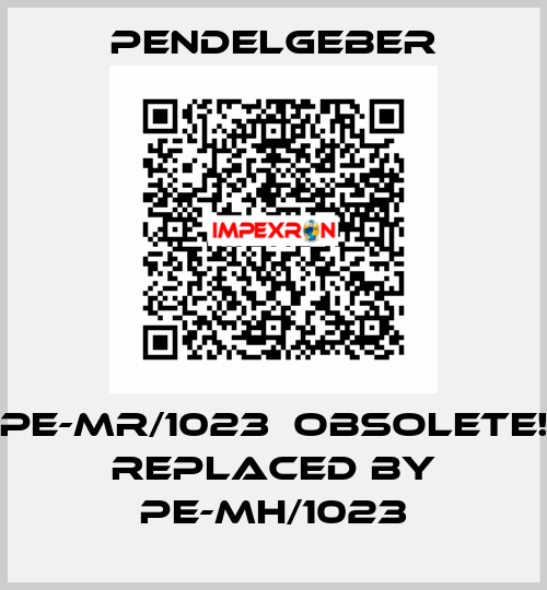 PE-MR/1023  Obsolete! Replaced by PE-MH/1023 Pendelgeber