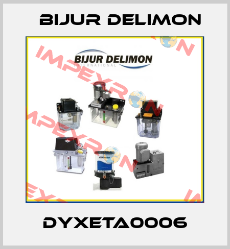 DYXETA0006 Bijur Delimon