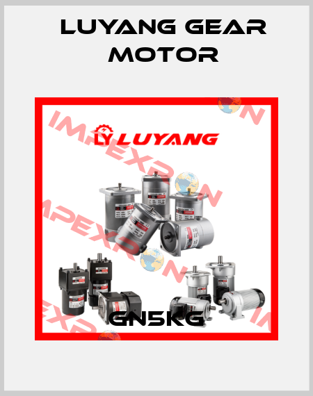 GN5KG Luyang Gear Motor