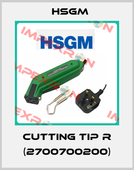 Cutting Tip R (2700700200) HSGM