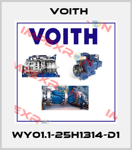 WY01.1-25H1314-D1 Voith