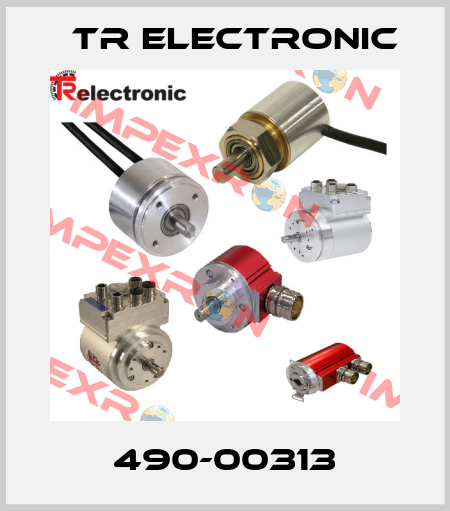 490-00313 TR Electronic